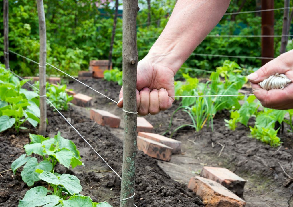 empresas-agrotecnología-españa