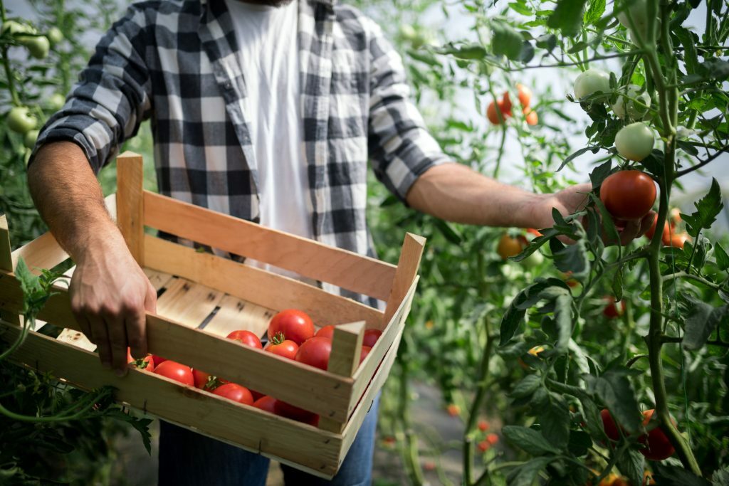 empresas agrotecnológicas

