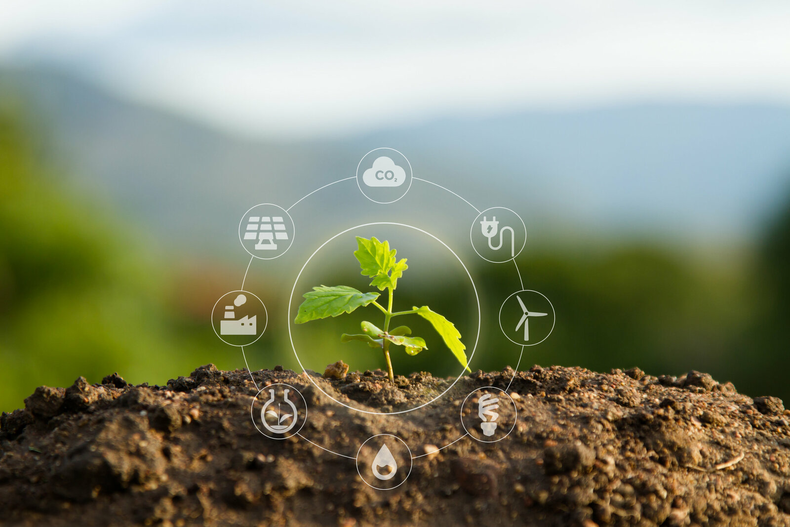 agricultura sostenible en empresas de españa