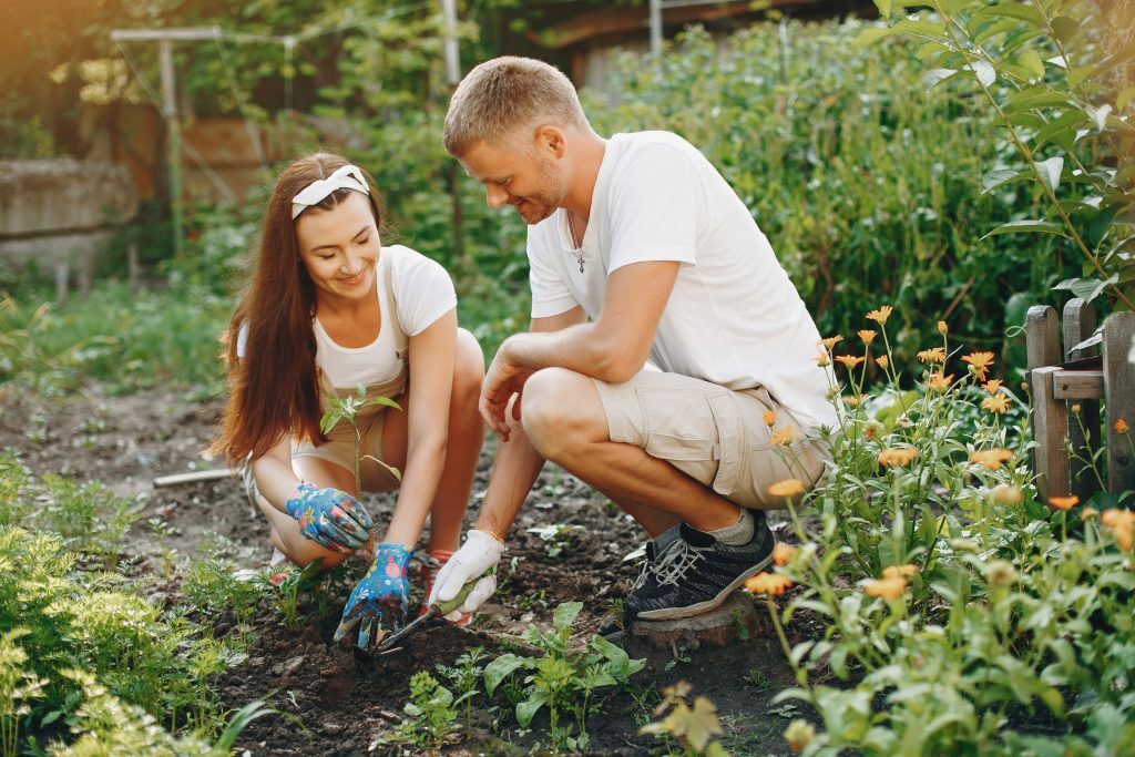 ¿dónde Hacer Un Curso De Jardinería 8 Opciones Variadas Blog Gowork Es