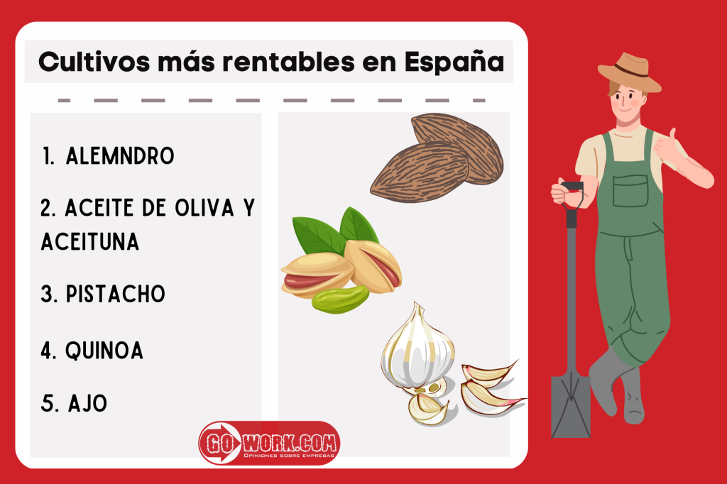 cultivos-más-rentables-en-España