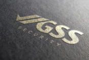 Opiniones Global Security Solutions