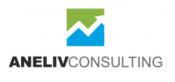 Opiniones ANELIV CONSULTING