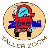 Opiniones Taller zoom