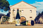 Opiniones GELAMA WINES AND TOURISM