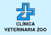 Opiniones Clinica Veterinaria Zoo Sl Profesional
