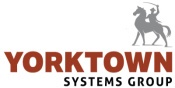 Opiniones YORKTOWN SYSTEMS GROUP INC