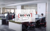 Opiniones Golive Services