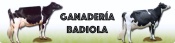 Opiniones Ganaderia Diplomada Badiola