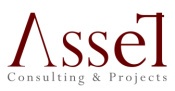 Opiniones Asset consulting