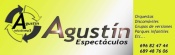 Opiniones Programaciones Artistico-musicales Agustin