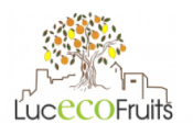 Opiniones Lucecofruits