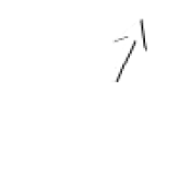 Opiniones Aktive-life sports & events