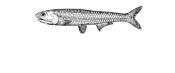 Opiniones SALAZONES DEL CANTABRICO
