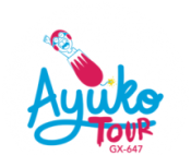 Opiniones AYUKO TOUR