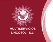 Opiniones Multiservicios Lincosol