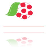 Opiniones Only Fruit