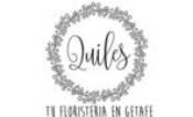 Opiniones Floristeria Quiles