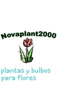 Opiniones Nova Plant 2000
