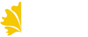 Opiniones Hacienda Albae Hotel