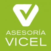Opiniones Asesoria Vicel