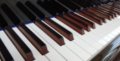 Opiniones Piano spain import company
