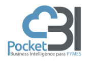 Opiniones Pocketbi cloud