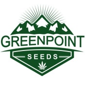 Opiniones GREENPOINT SEEDS