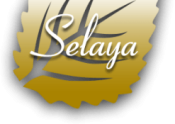 Opiniones Selaya