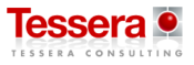 Opiniones Tessera Consulting Group