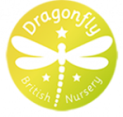 Opiniones Nursery Dragonfly