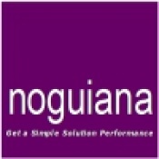 Opiniones Noguiana Consulting