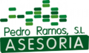 Opiniones Asesoria Pedro Ramos